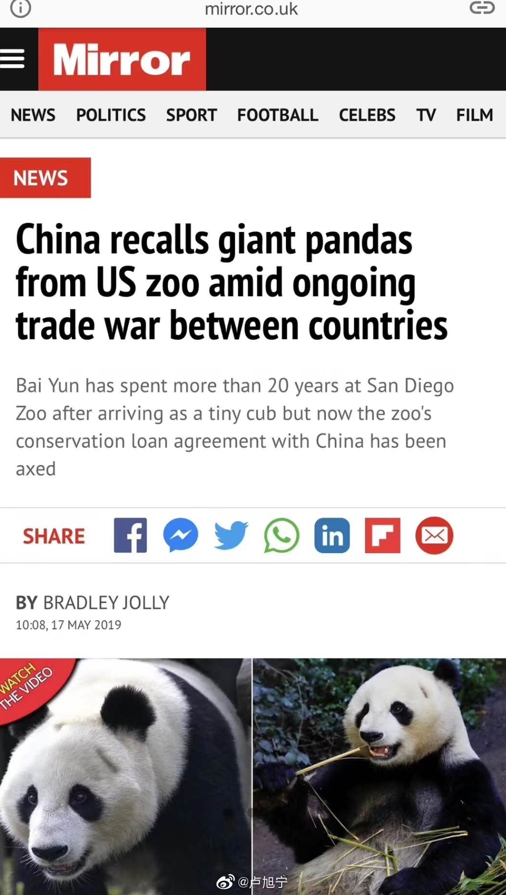 中国召回送美国的熊猫