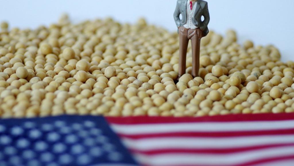 农民仍坚定支持特朗普