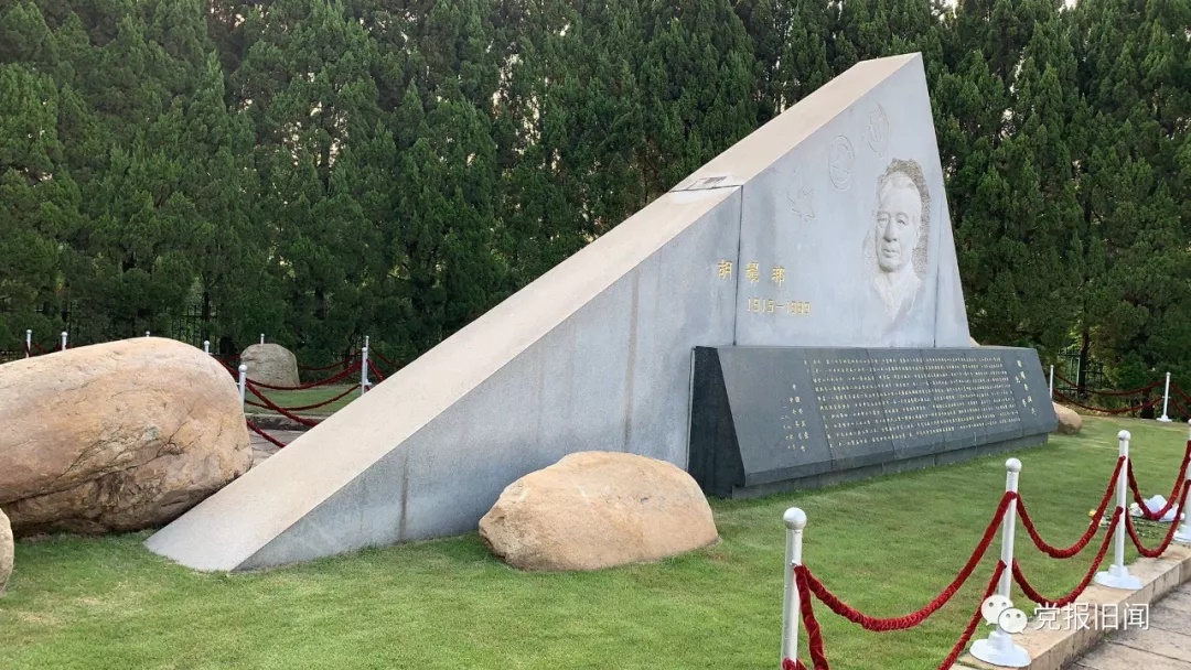 祝华新谒耀邦墓1