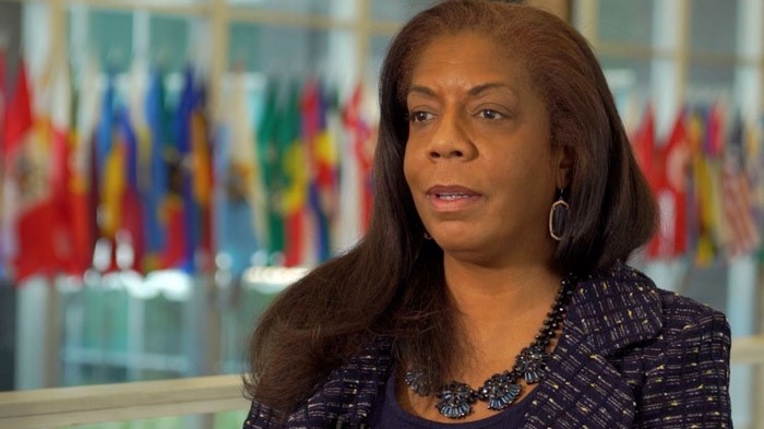 胡平：解读斯金纳